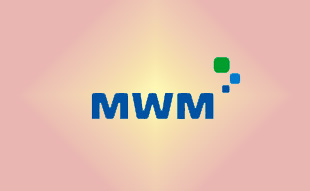 ✓ MWM 12319866 Седло клапана выпускного 